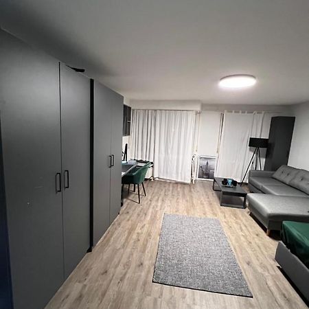 Business Apartment كارلسروه المظهر الخارجي الصورة
