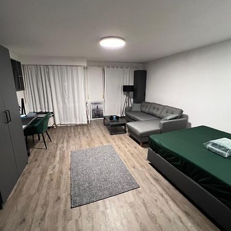 Business Apartment كارلسروه المظهر الخارجي الصورة