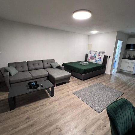 Business Apartment كارلسروه المظهر الخارجي الصورة