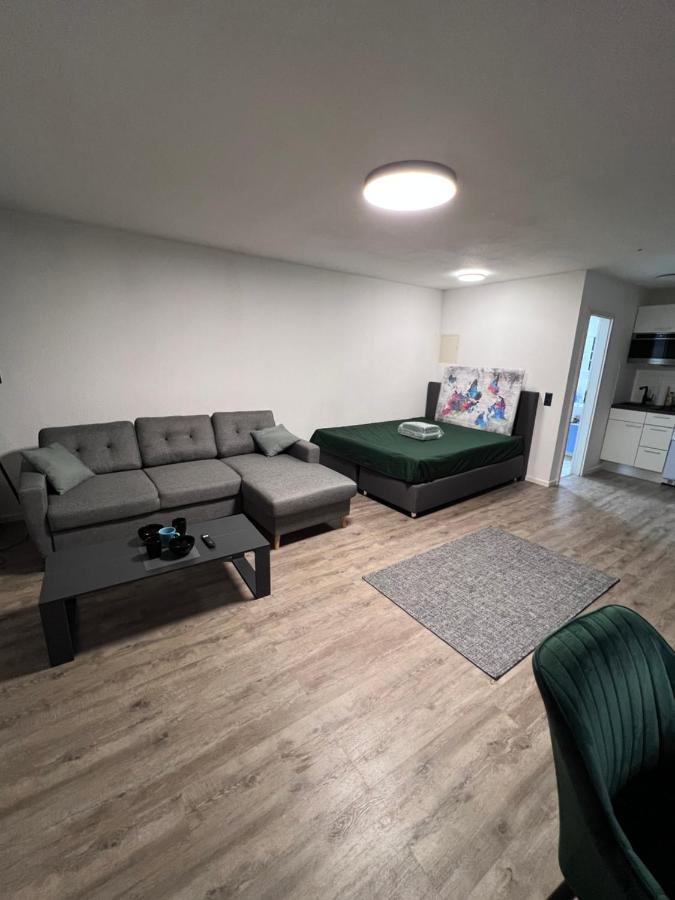 Business Apartment كارلسروه المظهر الخارجي الصورة